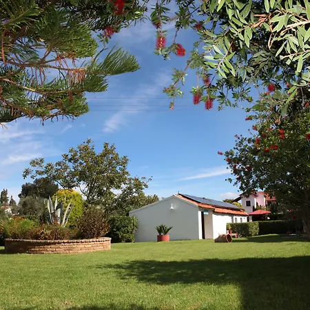 Oula Maisonettes 3* Kávos